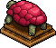 Scarlet Tortoise
