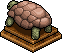 Beige Tortoise