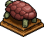 Brown Tortoise