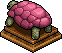 Pink Tortoise