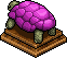 Purple Tortoise