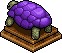 Mauve Tortoise
