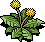 Grubby Weed