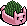 Chia Plants