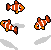 School of Clownfish