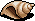 Sandy Conch Shell