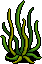 Coral Kingdom Seaweed