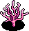 Pink Elkhorn Coral