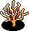 Yellow Elkhorn Coral