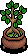 Zen Bonsai Tree