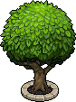Round Tree