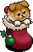 Furball