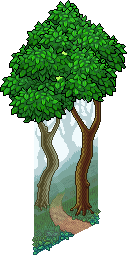 Fairytale Forest
