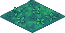 Forest Floor