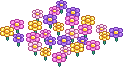 Wildflower Meadow