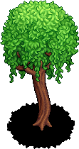 Whispering Tree
