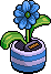 Ultramarine Daisy