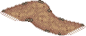 Forest Path