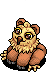 Baby Bear Owl