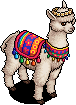 Grace the Alpaca