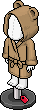 Teddy Dressing Gown