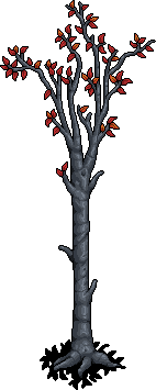 Birch Tree