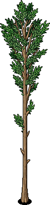 Skinny Tree