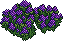 Heather Patch