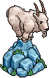 Mountain Goat