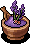 Lavender Salt