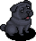 Chill Modern Pug