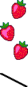 Hanging Strawberries