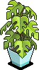 Relaxation Plant (non-tradable)