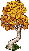 Bendy Birch Tree