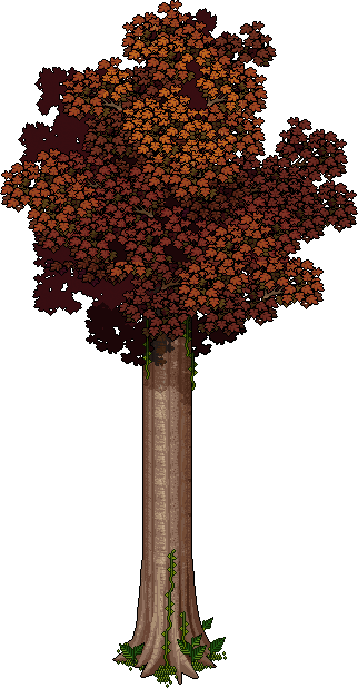 Tall Fall Tree