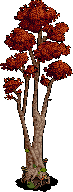 Autumnal Branching Tree
