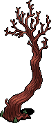 Dying Tree