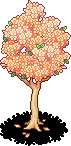 Spring Blossom Tree