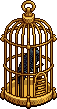 Crow in a Cage