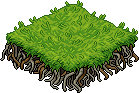 Grassy Lagoon Patch