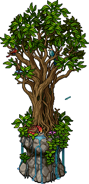 Sacred Lagoon Tree