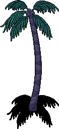 Miami Fan Palm