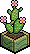Bubblejuice Table Plant