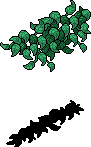 Thriving Garden Growth