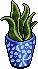 Potted Snake Plant