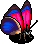 Common Agrias Butterfly