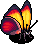 Exceptional Agrias Butterfly