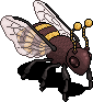 Giganic Bee