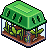 Green Bug Terrarium