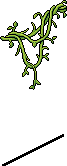 Hanging Vines